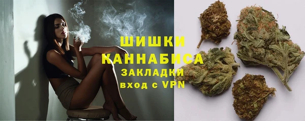 дживик Зерноград