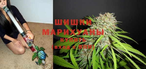 дживик Зерноград