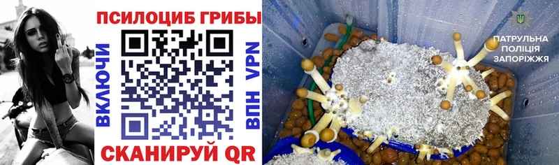 Галлюциногенные грибы мухоморы  Купить где  Троицк 
